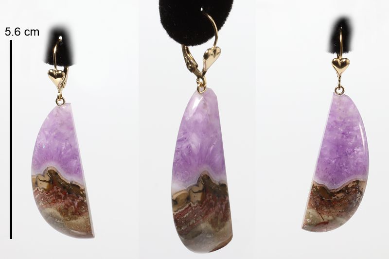 Amethyst (NS)/gf Earrings